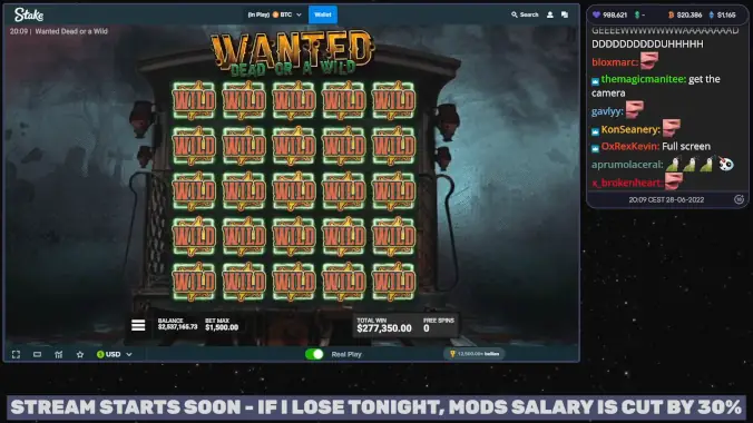 wanted484 wanted484