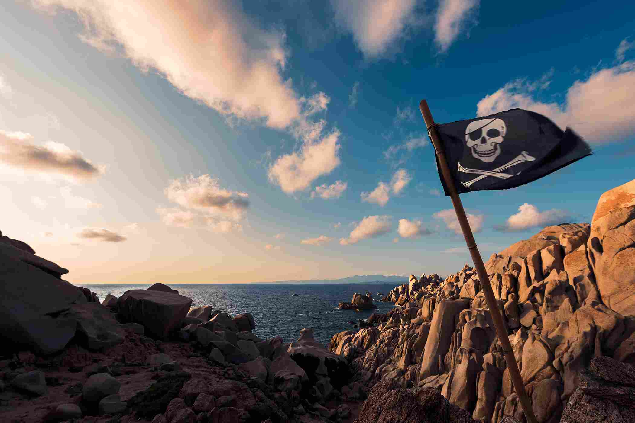 One Piece pirate flag