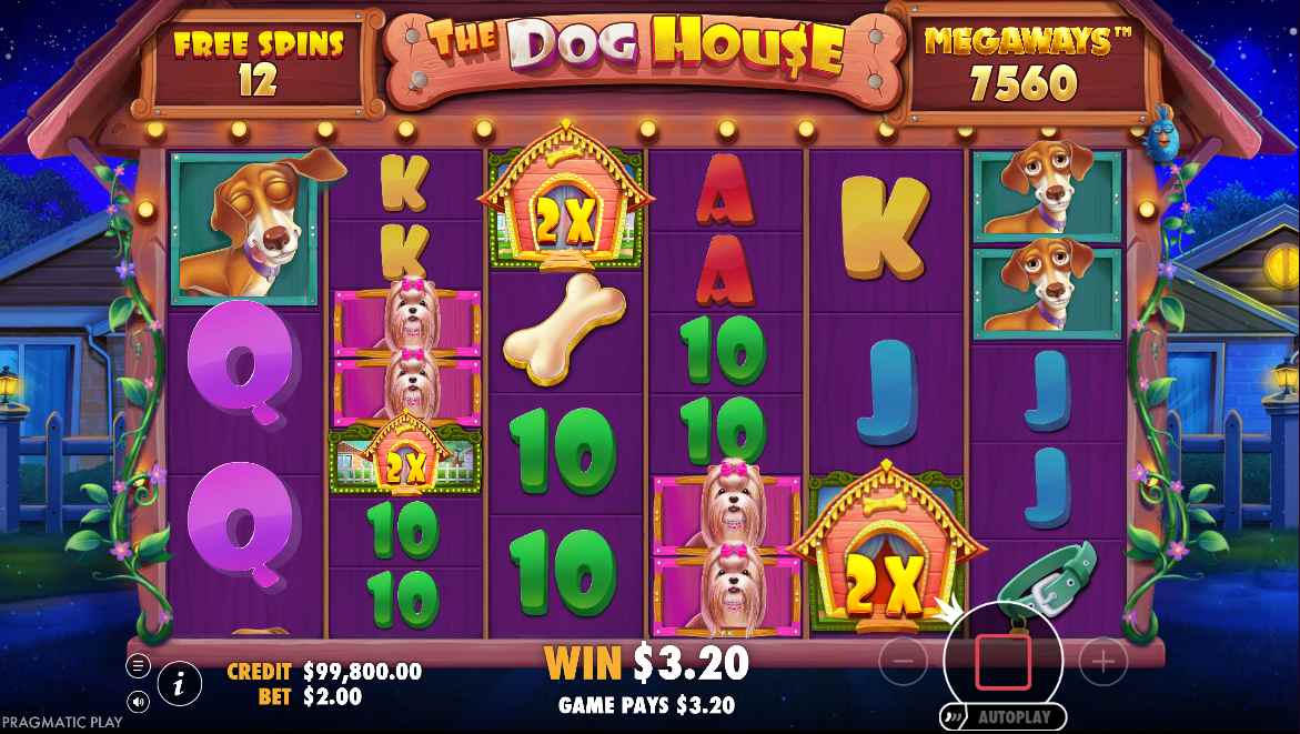 The Dog House Megaways