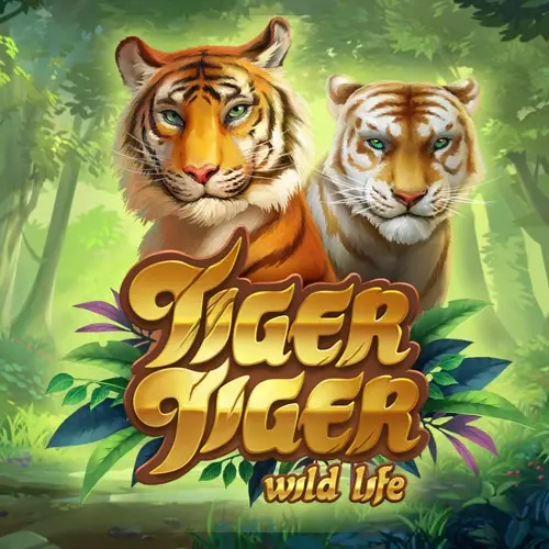 male and female tiger in the jungle
